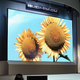 Illustration for article titled Mitsubishis Modular 155-Inch OLED Screen
